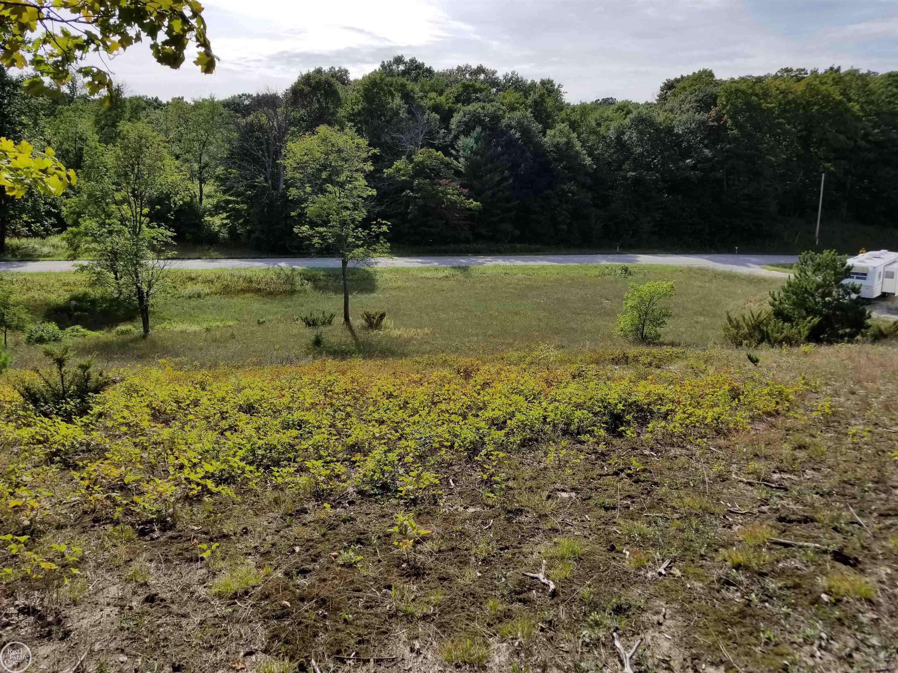 South Fritz Road Maple City, MI 49664 - Photo 7 of 14
