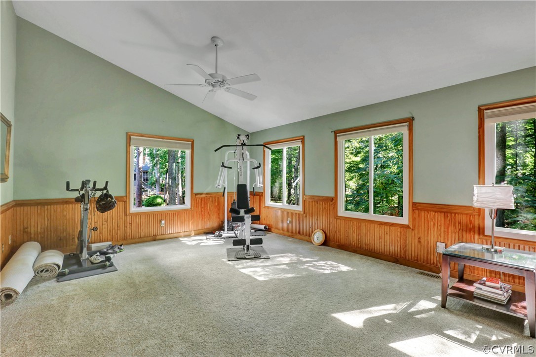 5603 Chatmoss Road Midlothian, VA 23112 - Photo 5 of 16 Large Rec Room W/Lots of Windows & Vaulted Ceiling