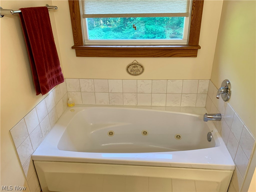 373 South Ridge Road West Conneaut, OH 44030 - Photo 36 of 50 Bathroom featuring a healthy amount of sunlight and a tub