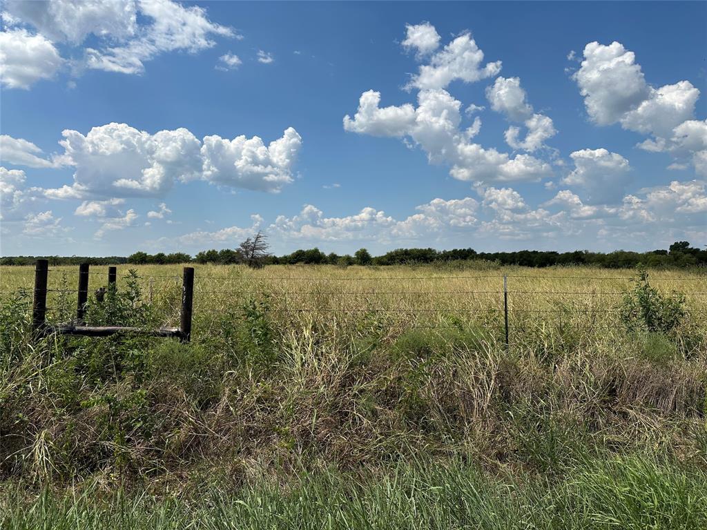Lot 10 Eastline Road Whitewright, TX 75491 - Photo 13 of 19 a view of a lake in middle of forest