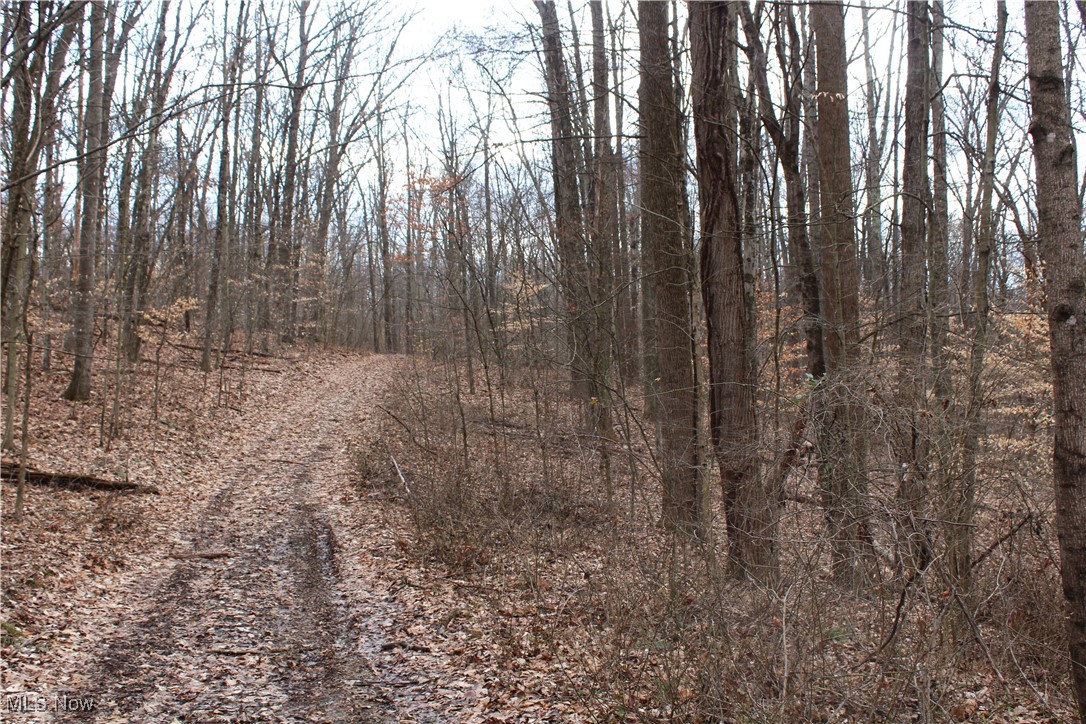 4960 Rider Road Roseville, OH 43777 - Photo 13 of 50 Gallery Image 13