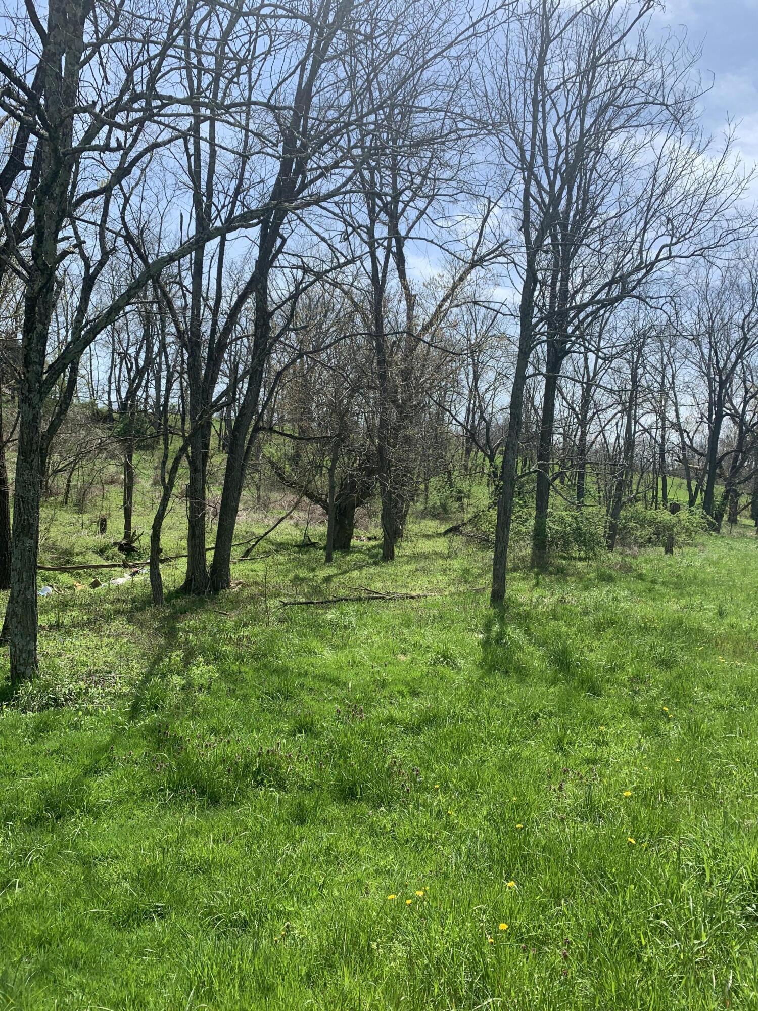 1000 Britton Road Harrodsburg, KY 40330 - Photo 19 of 88 FA9B662E-CDEC-4687-B705-15498C692426