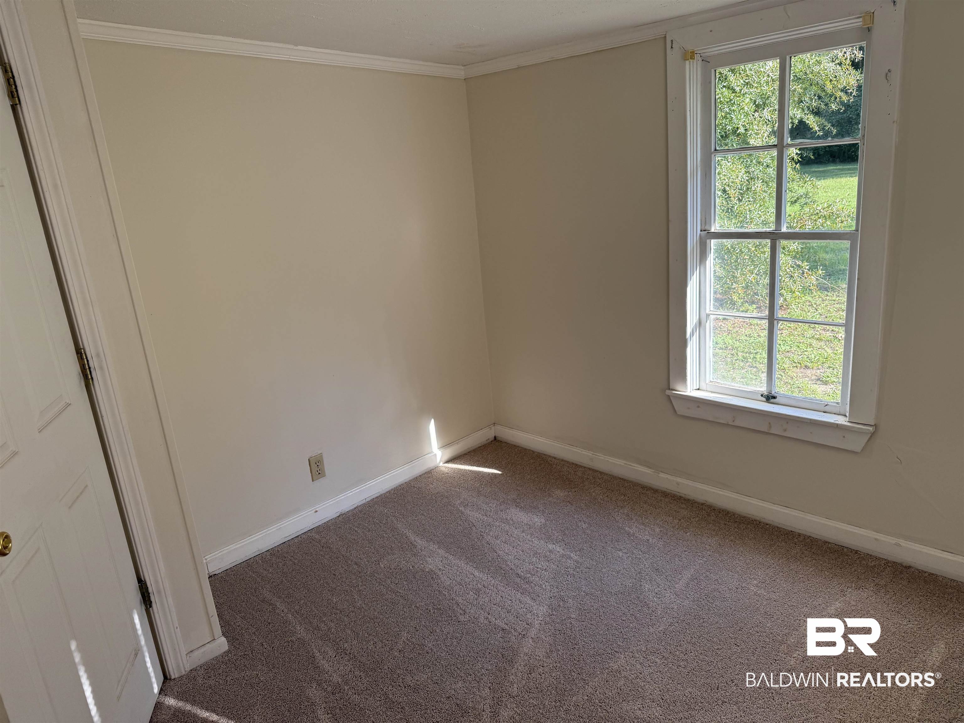 3630 Highway 29 Brewton, AL 36426 - Photo 9 of 13 Carpeted spare room with ornamental molding and plenty of natural light