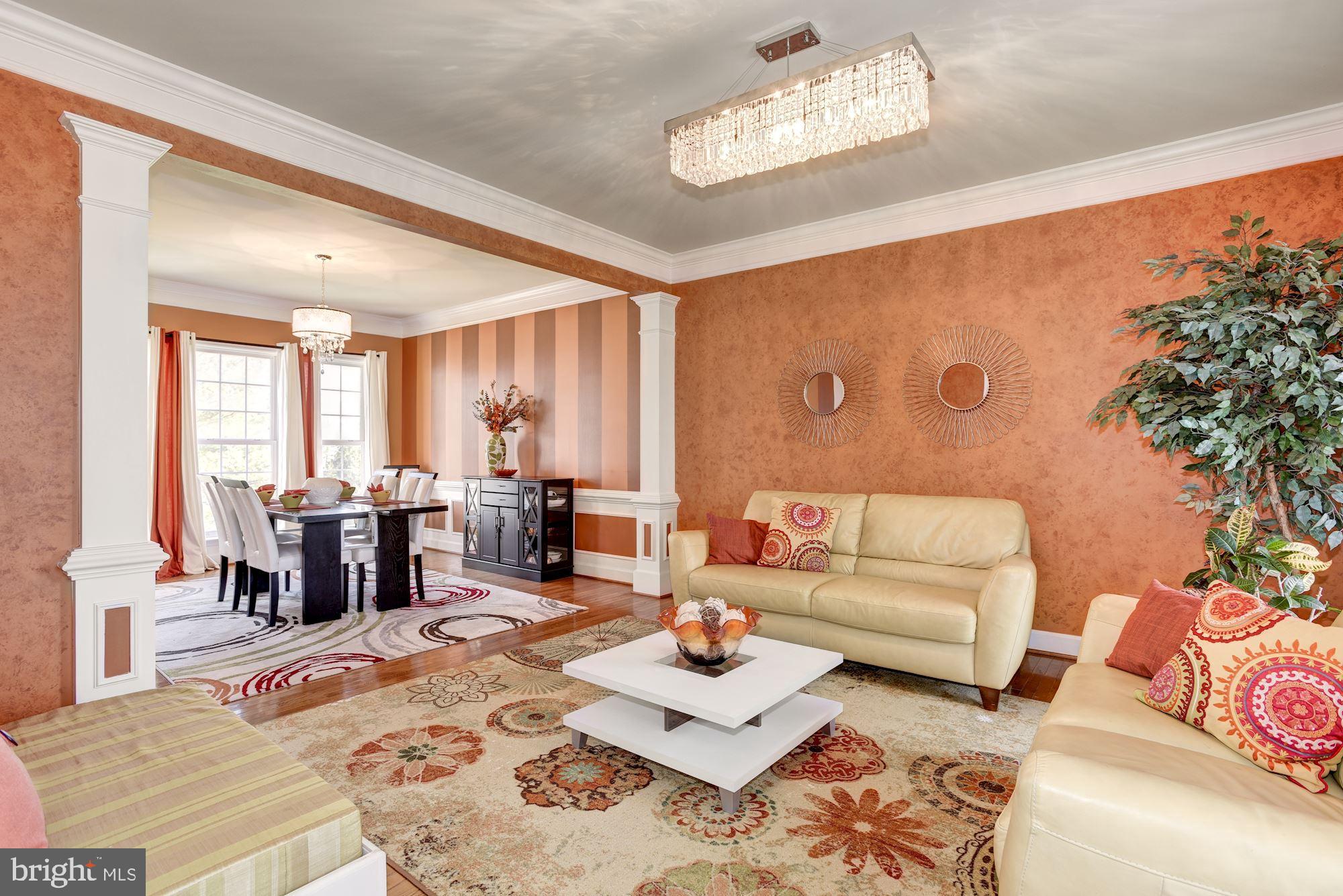 42879 Braemount Circle Ashburn, VA 20148 - Photo 3 of 53 Custom paint throughout