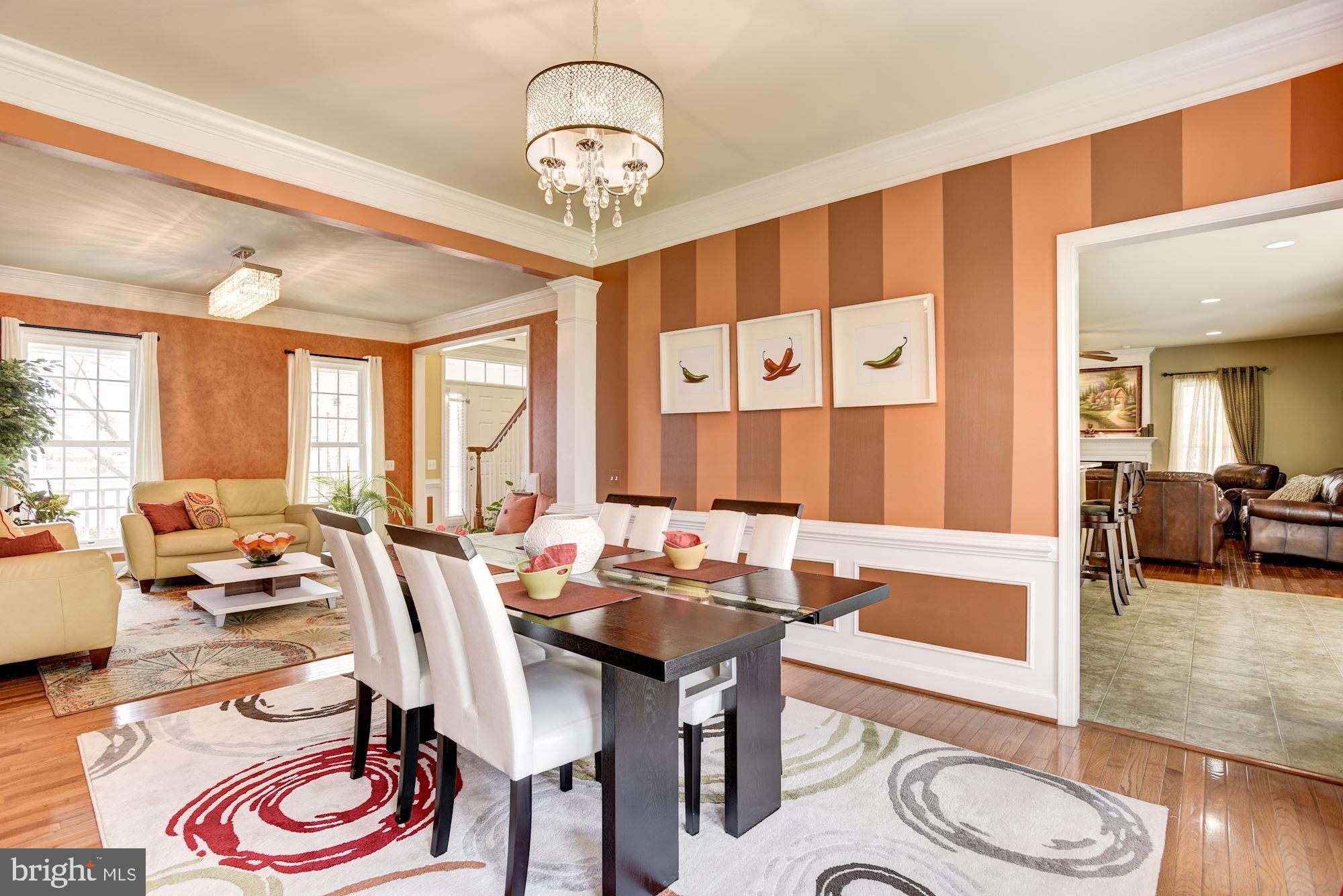 42879 Braemount Circle Ashburn, VA 20148 - Photo 4 of 53 Upgraded light fixtures throughout