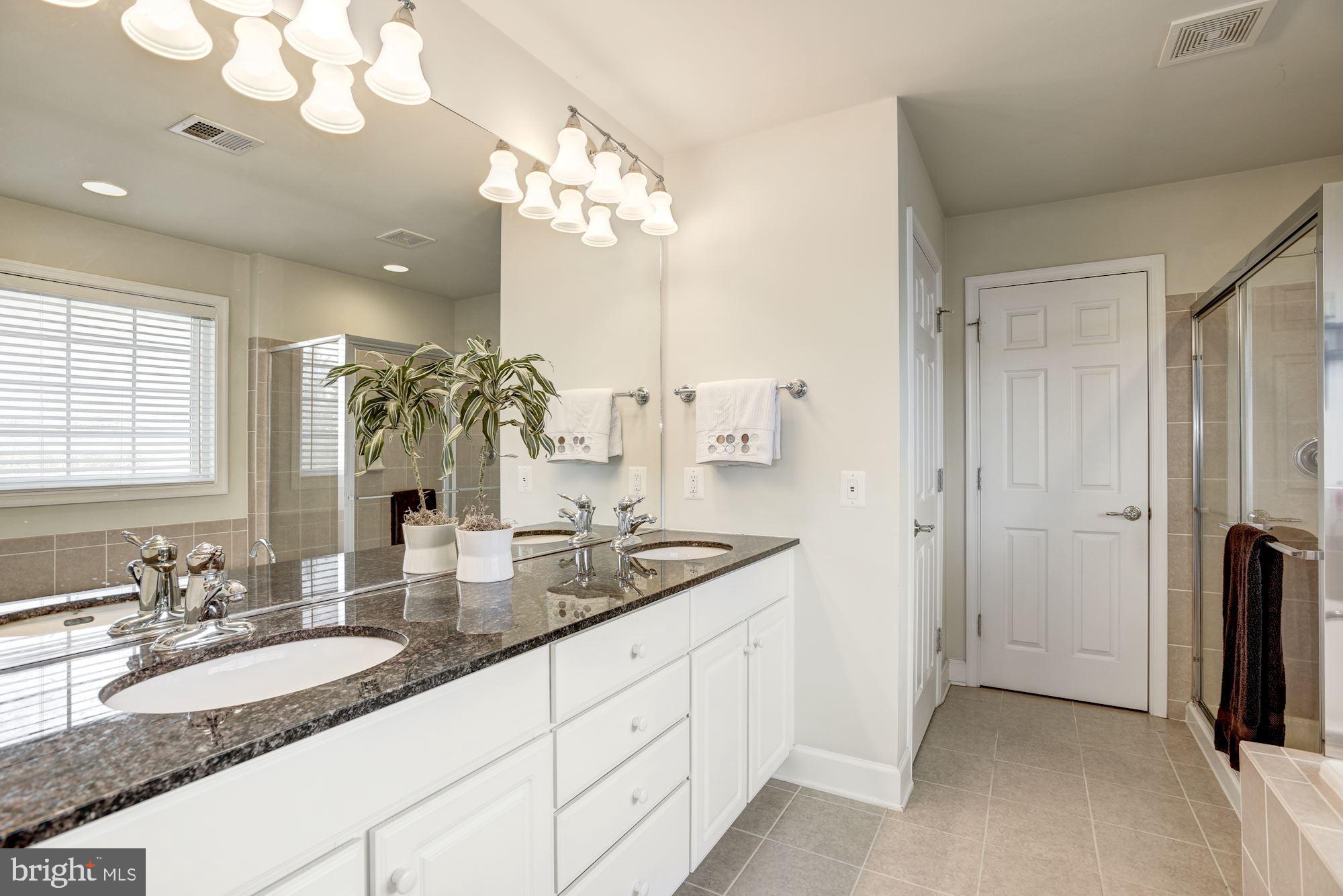 42879 Braemount Circle Ashburn, VA 20148 - Photo 31 of 53 Master bath with upgraded finishes