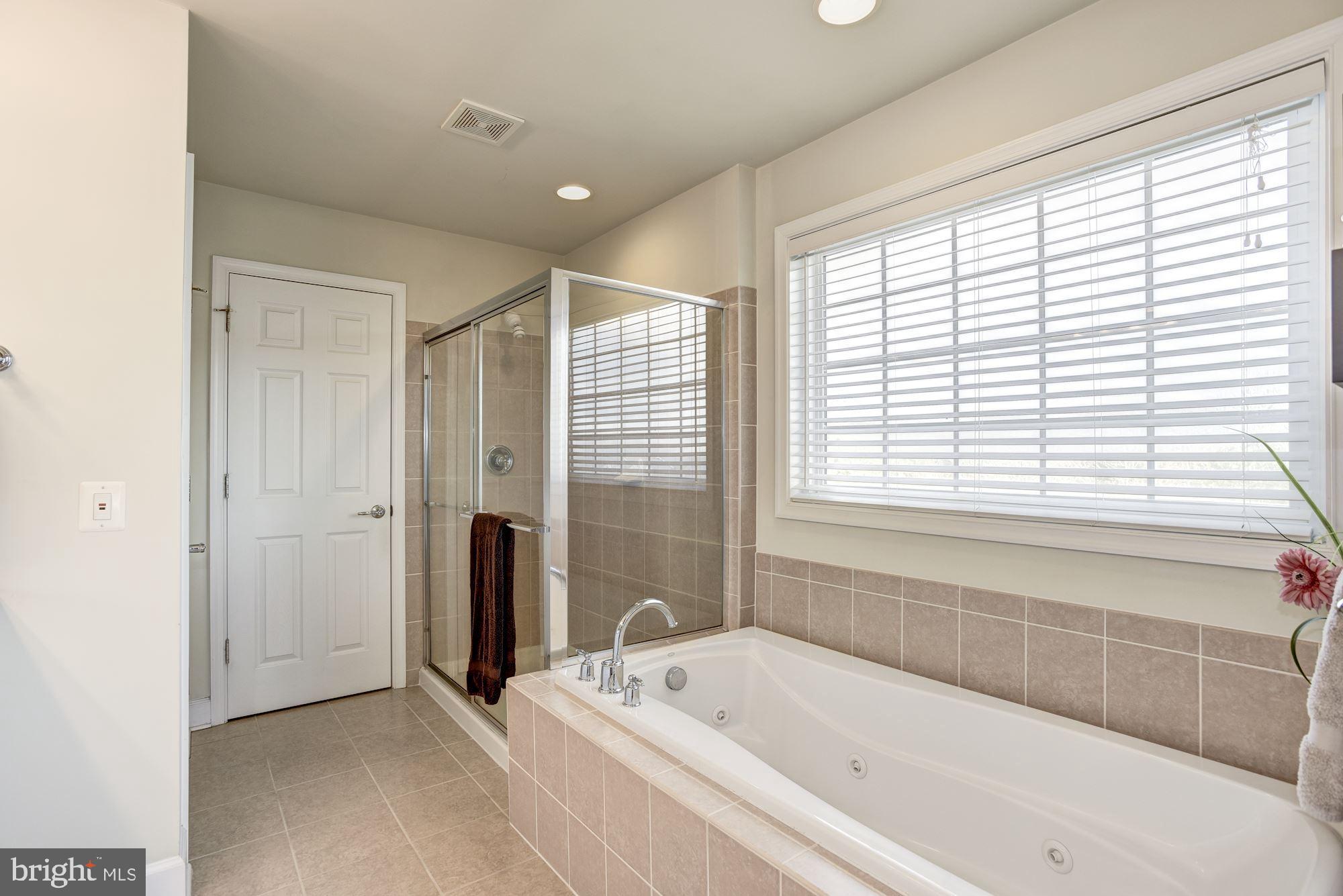 42879 Braemount Circle Ashburn, VA 20148 - Photo 32 of 53 Separate shower and tub with jets