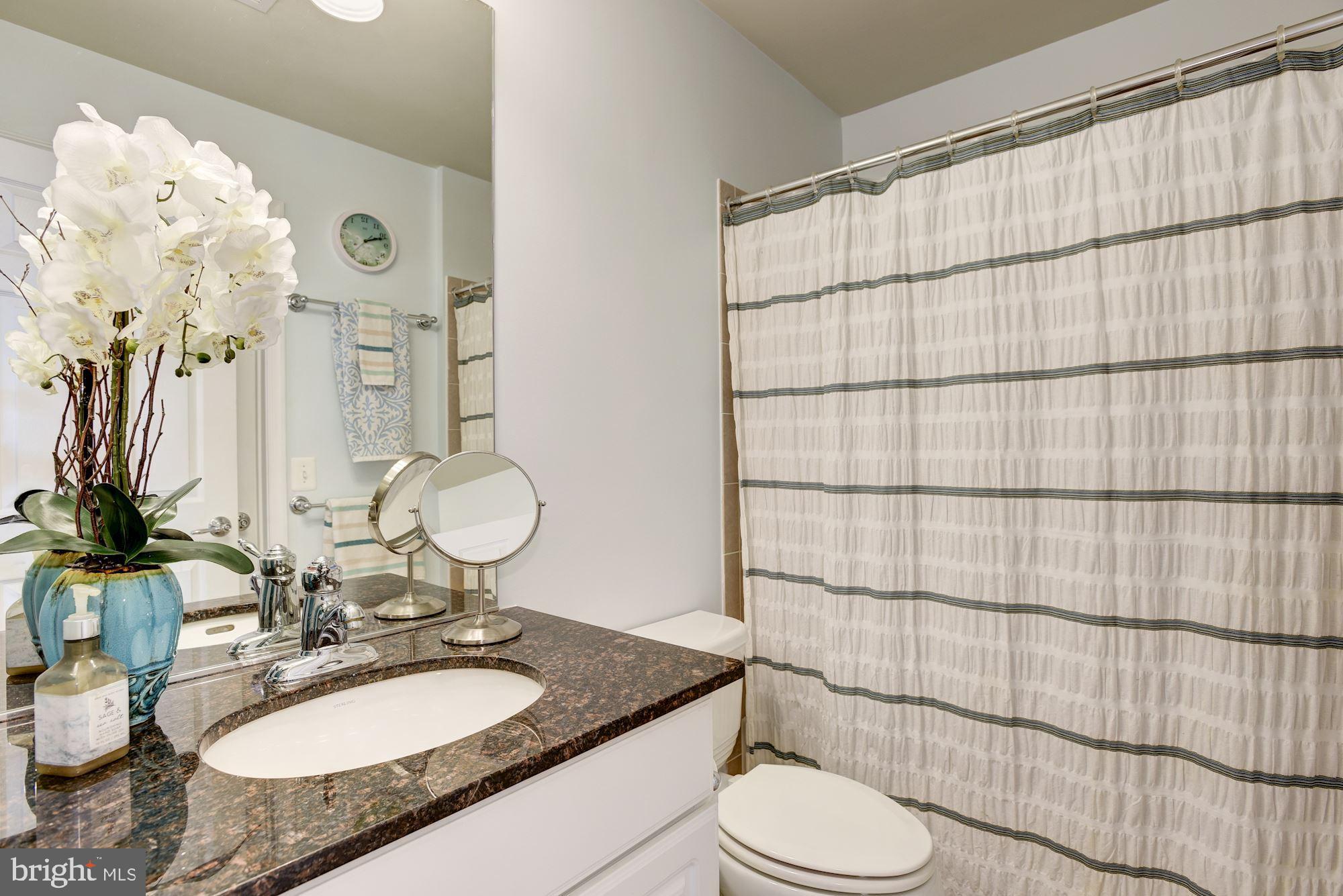 42879 Braemount Circle Ashburn, VA 20148 - Photo 39 of 53 Hall bath for bedrooms 3 & 4, upgraded finishes