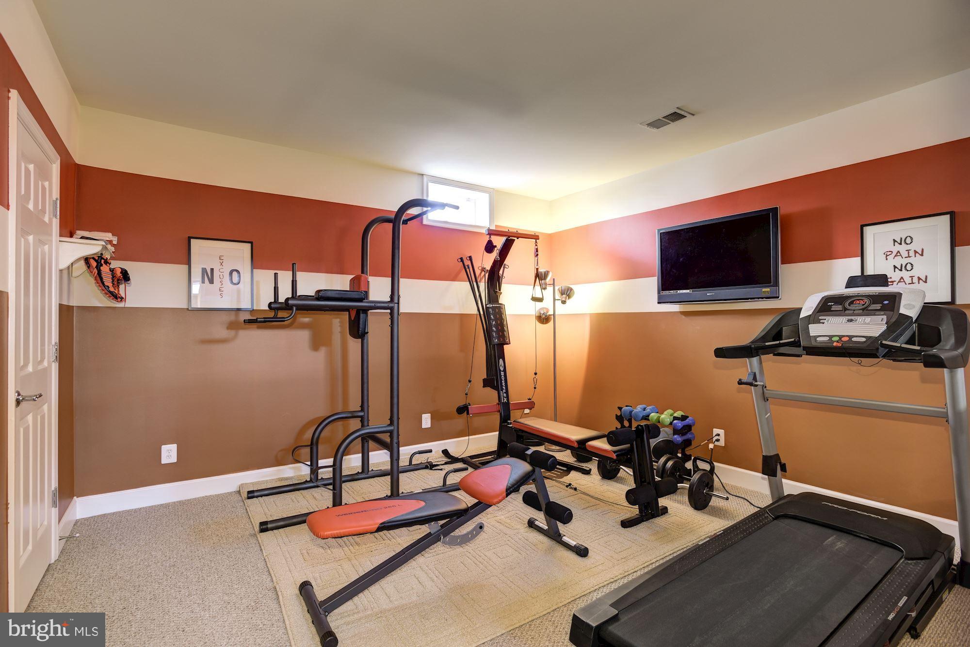 42879 Braemount Circle Ashburn, VA 20148 - Photo 47 of 53 Exercise room with closet