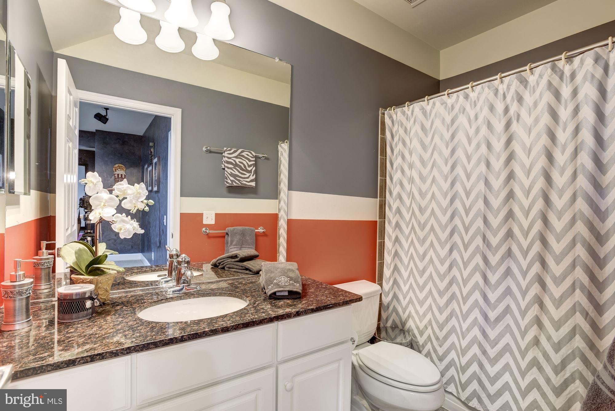 42879 Braemount Circle Ashburn, VA 20148 - Photo 49 of 53 Full bath in the lower level