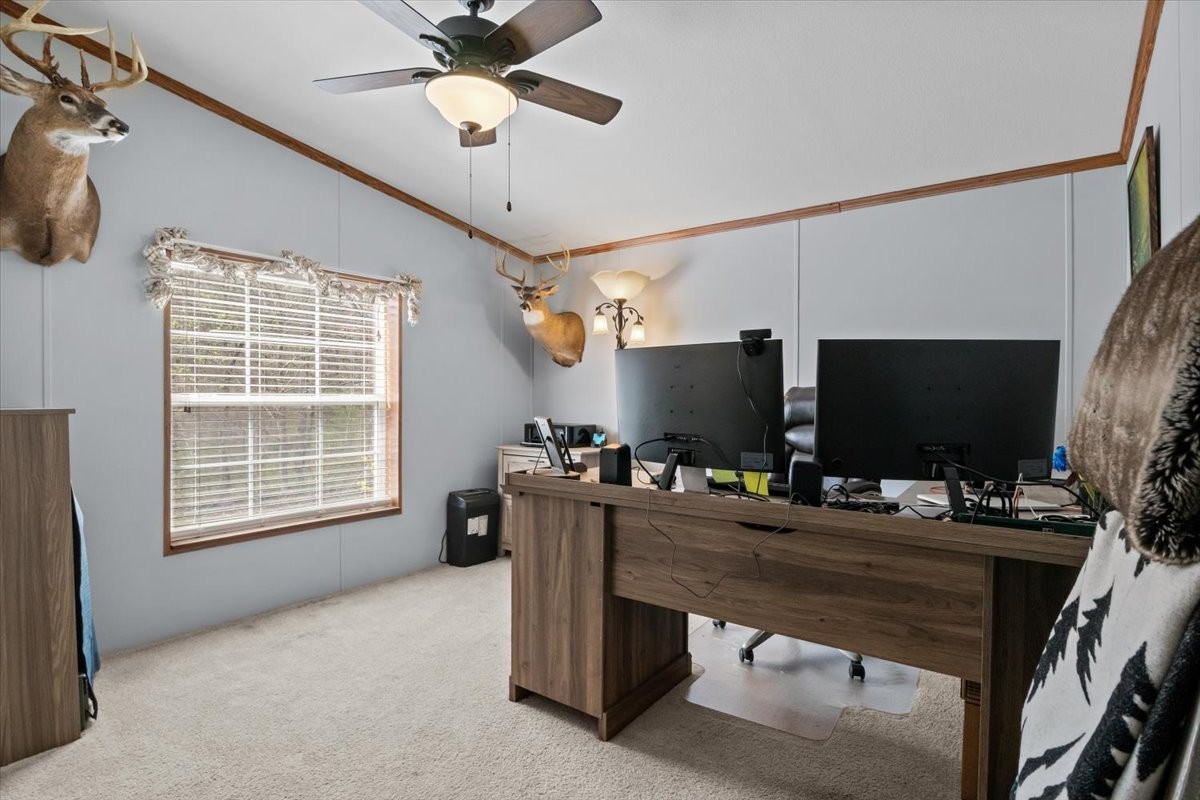 1644 West Blue Creek Road Waverly, TN 37185 - Photo 30 of 72