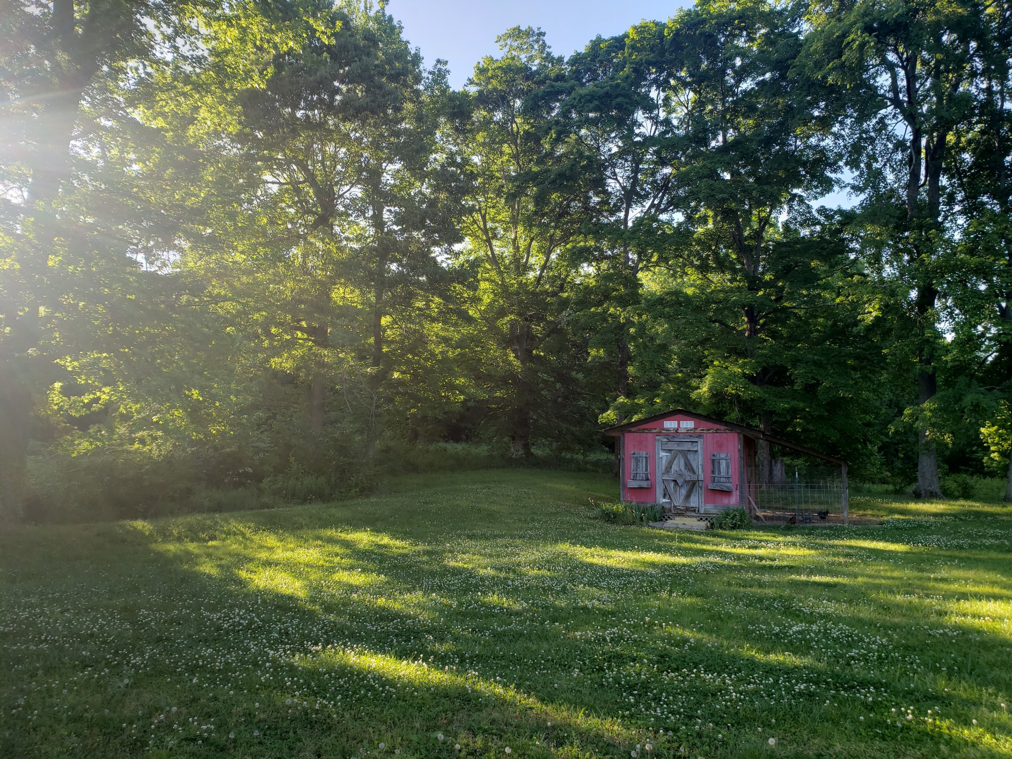 1644 West Blue Creek Road Waverly, TN 37185 - Photo 43 of 61 a view of a backyard with a barn