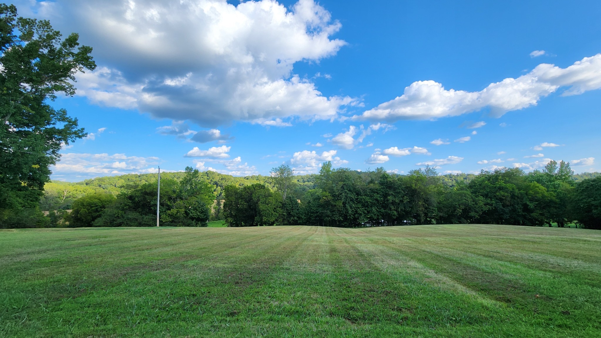 1644 West Blue Creek Road Waverly, TN 37185 - Photo 44 of 61