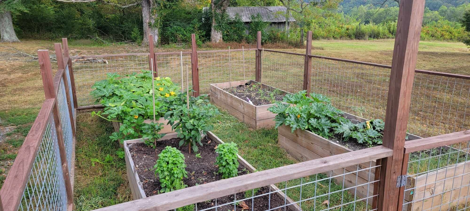 1644 West Blue Creek Road Waverly, TN 37185 - Photo 46 of 72