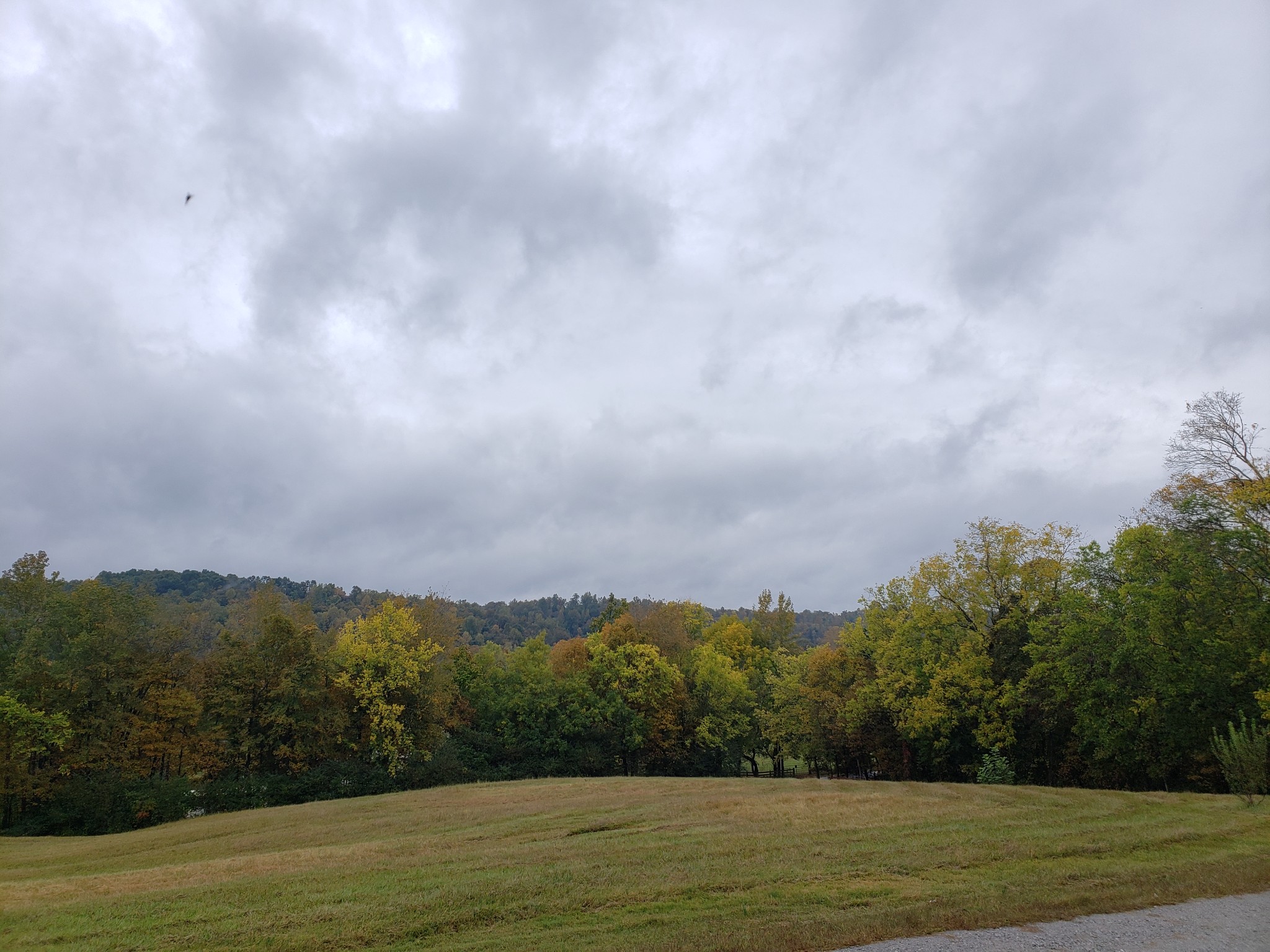 1644 West Blue Creek Road Waverly, TN 37185 - Photo 48 of 61 a view of a city with mountains in the background