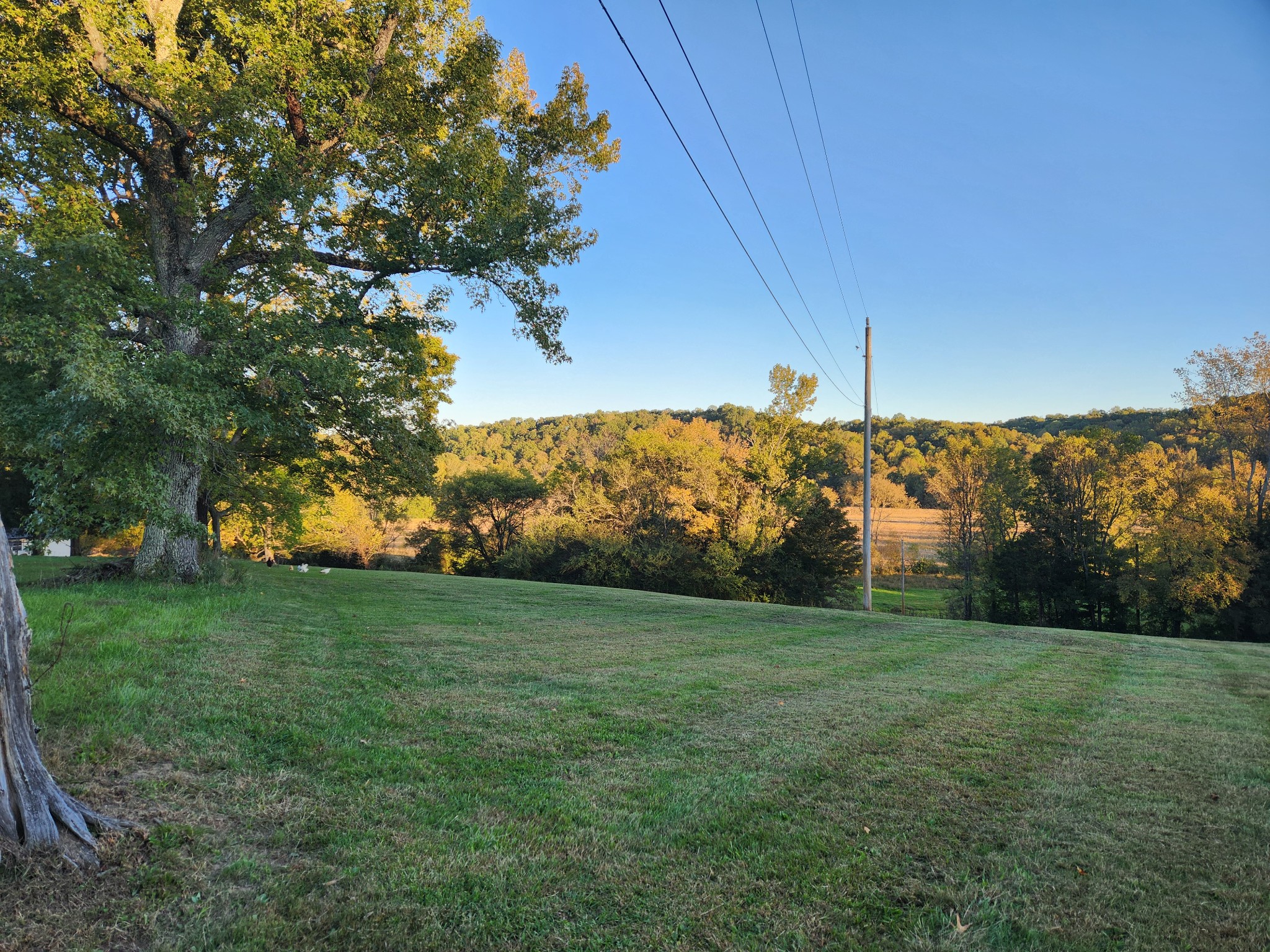 1644 West Blue Creek Road Waverly, TN 37185 - Photo 60 of 61