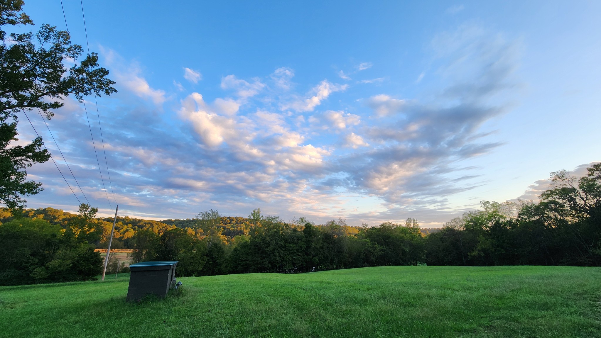 1644 West Blue Creek Road Waverly, TN 37185 - Photo 61 of 61 a view of a big yard with a large tree