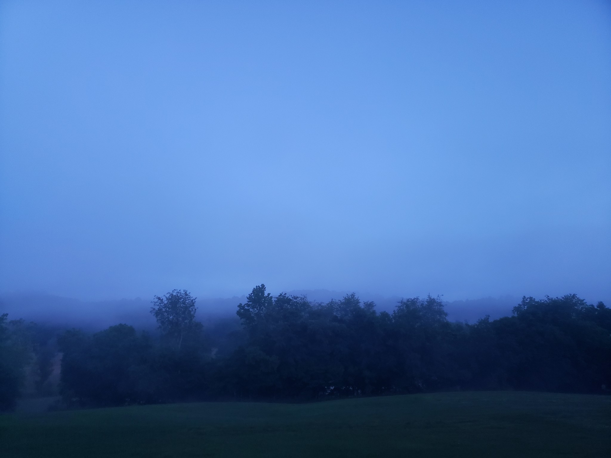 1644 West Blue Creek Road Waverly, TN 37185 - Photo 70 of 72