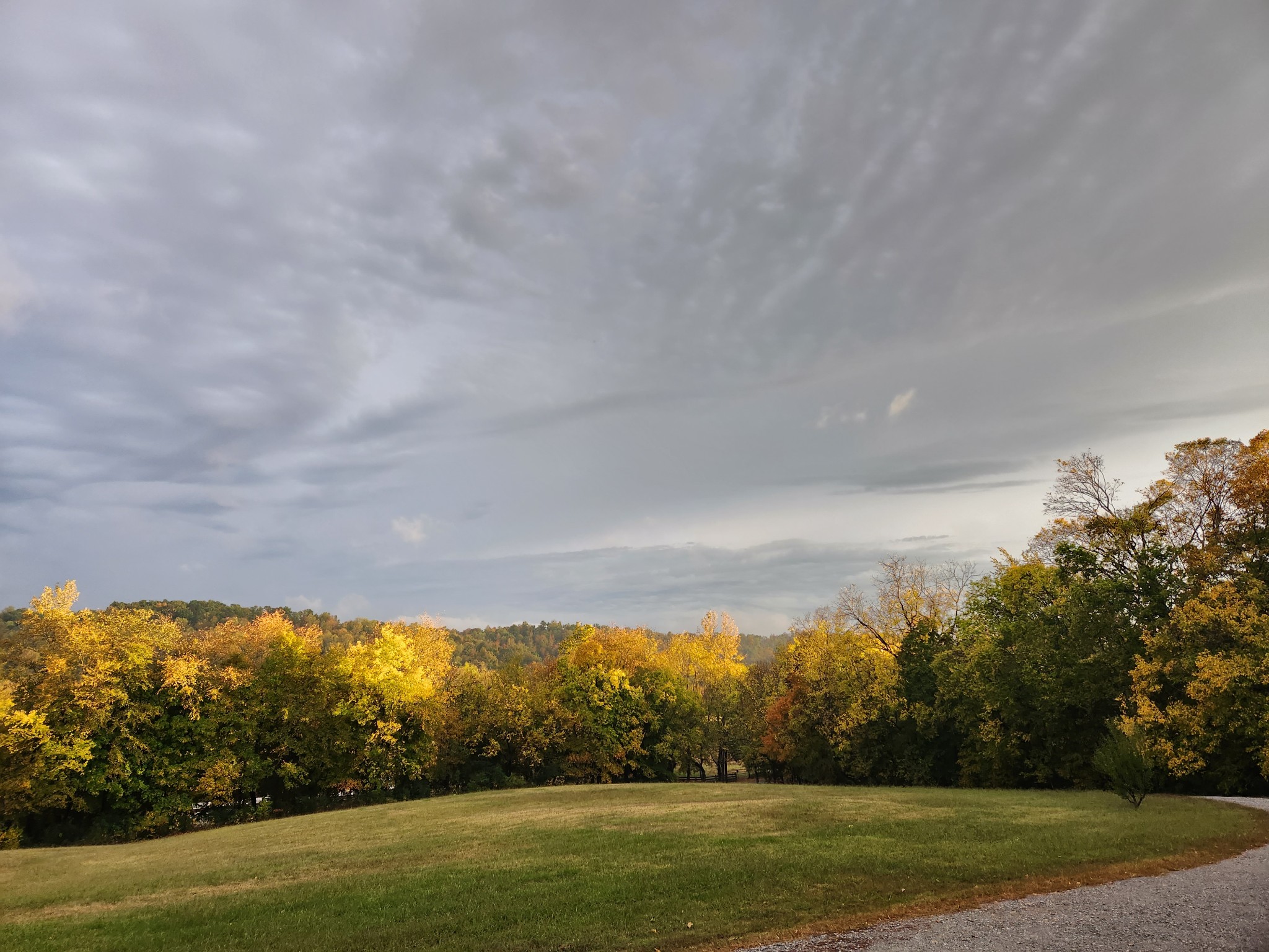 1644 West Blue Creek Road Waverly, TN 37185 - Photo 72 of 72