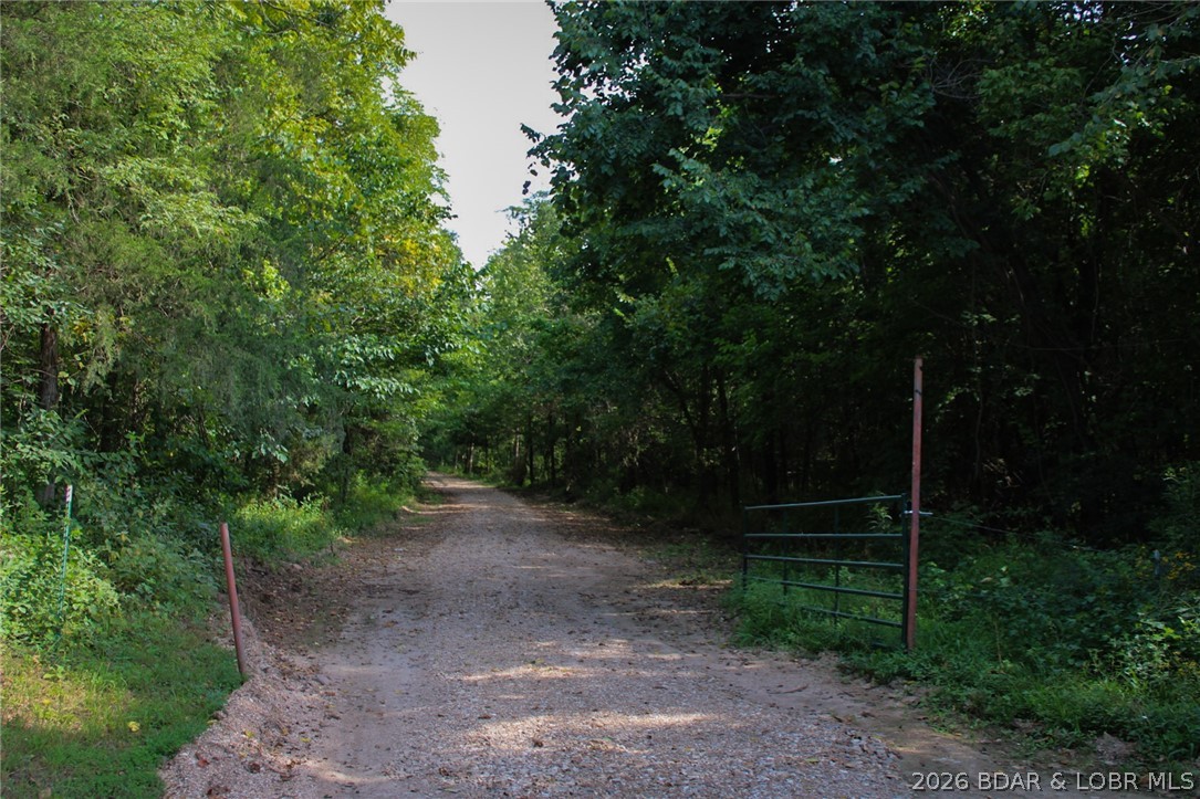 101 Swinging Bridges Road Brumley, MO 65017 - Photo 55 of 57 Gallery Image 55