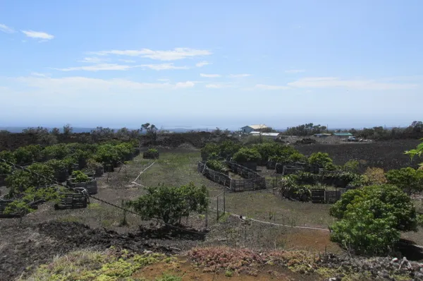 a view of a city with green space