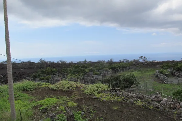 $400,000 | 92-8305 Mamalahoa Highway, Ocean View, HI 96704