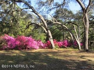 6105 Solano Creek Road Elkton, FL 32033 - Photo 45 of 77 Spring time at Gopher Hill