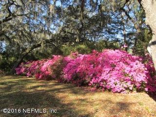6105 Solano Creek Road Elkton, FL 32033 - Photo 46 of 77 Spring time at Gopher Hill