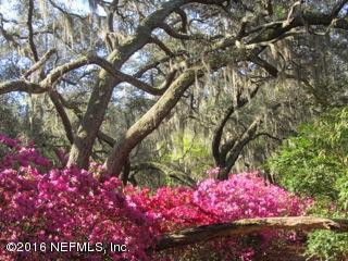 6105 Solano Creek Road Elkton, FL 32033 - Photo 48 of 77 Spring time at Gopher Hill