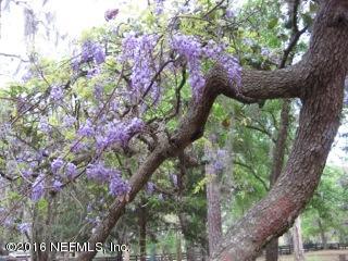 6105 Solano Creek Road Elkton, FL 32033 - Photo 49 of 77 More Spring time