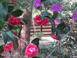 6105 Solano Creek Road Elkton, FL 32033 - Photo 50 of 77 Camellias