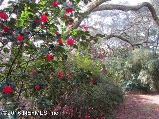 6105 Solano Creek Road Elkton, FL 32033 - Photo 51 of 77 Camellias
