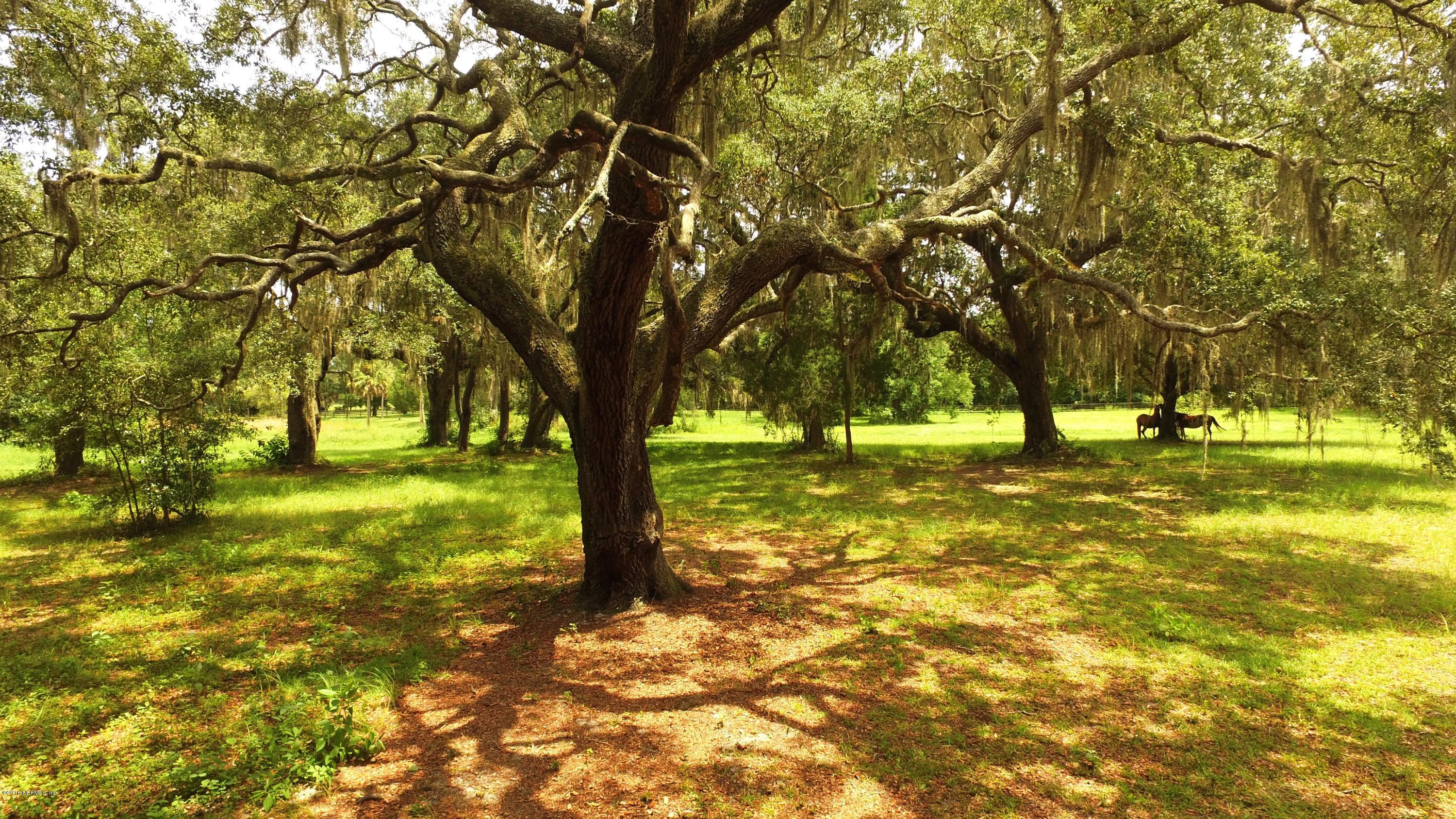 6105 Solano Creek Road Elkton, FL 32033 - Photo 72 of 77 Beautiful Maintained