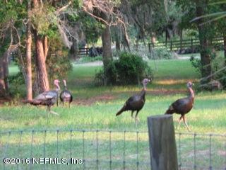 6105 Solano Creek Road Elkton, FL 32033 - Photo 74 of 77 Wildlife Galore