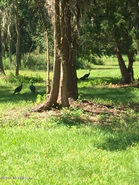 6105 Solano Creek Road Elkton, FL 32033 - Photo 75 of 77 turkeys Gopher Hill 9-18-16