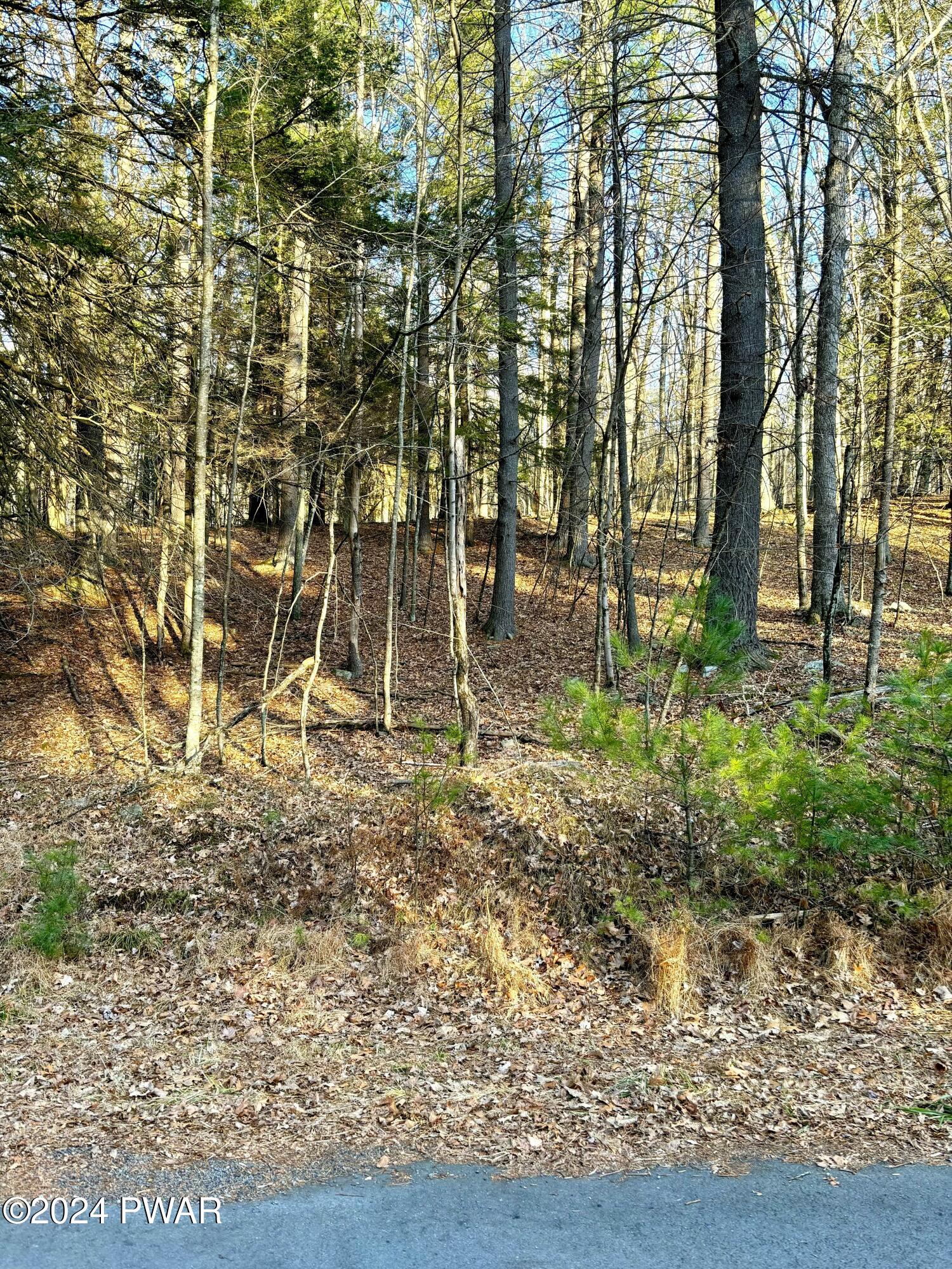 420 Creek Road Hawley, PA 18428 - Photo 9 of 19