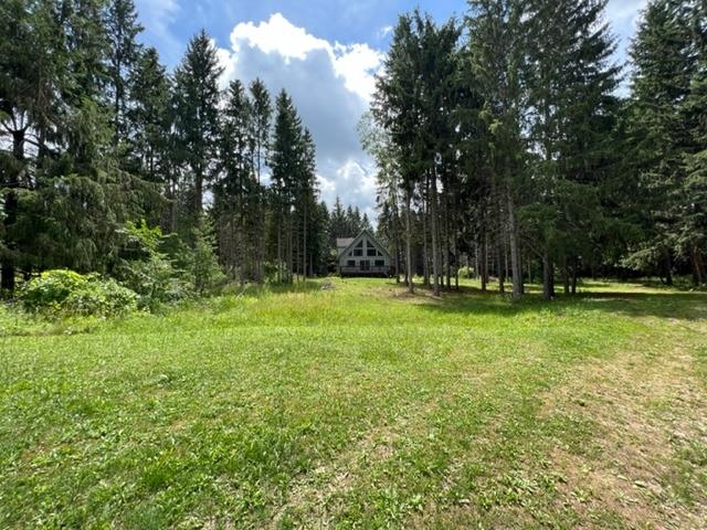 6538 North 39 Road Manton, MI 49663 - Photo 40 of 65 1902339-45.JPG