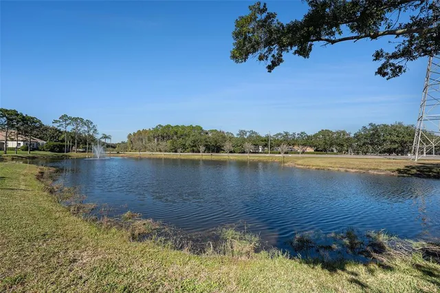 a view of a lake with houses in the back