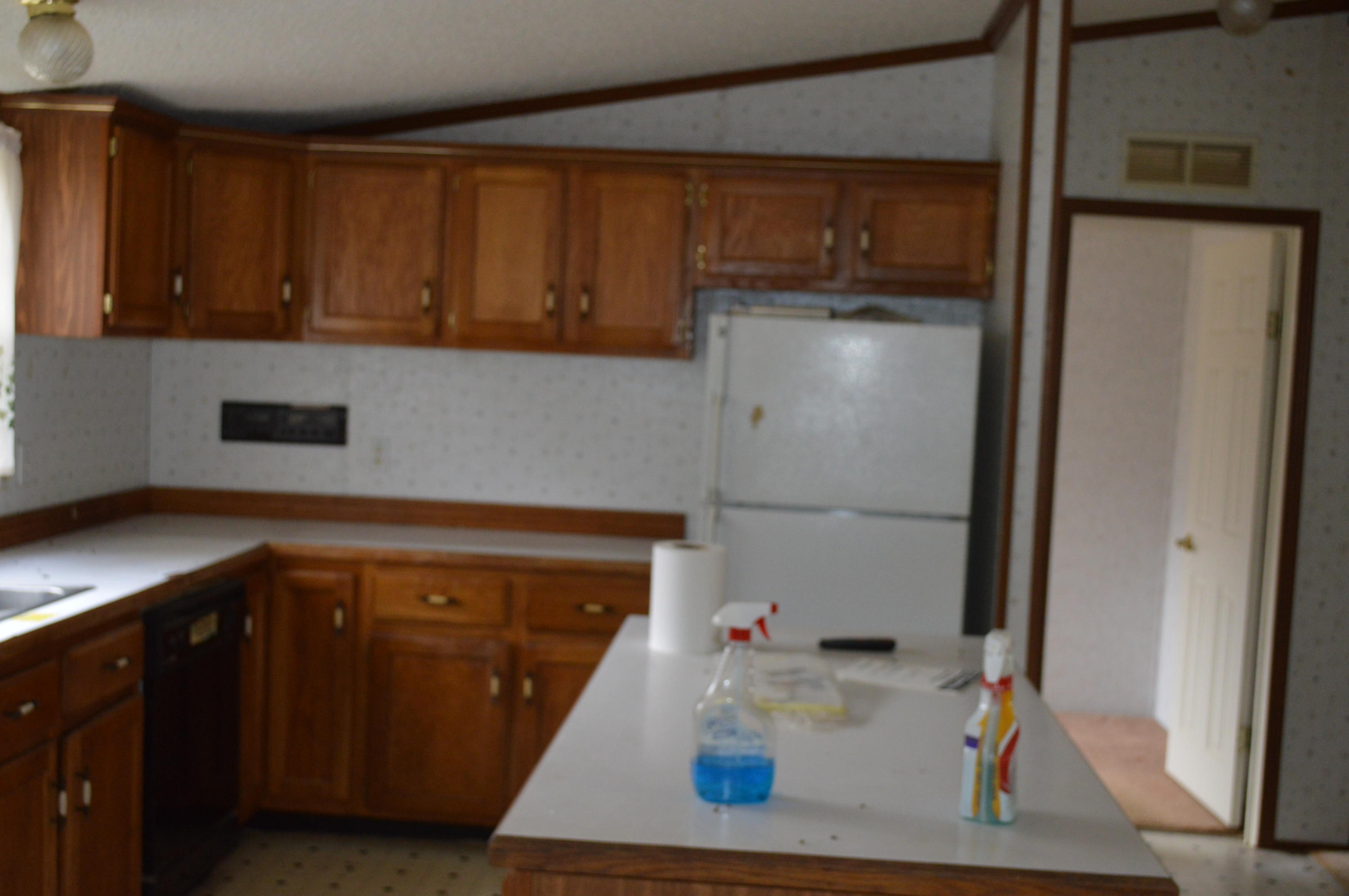 10162 Potts Creek Road Covington, VA 24426 - Photo 6 of 9 Kitchen