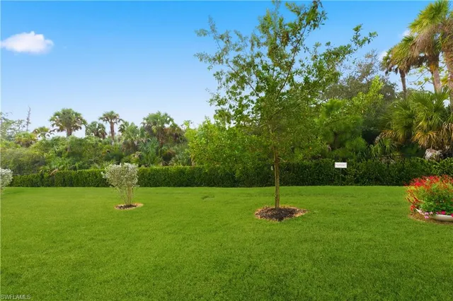 a garden with trees in the background