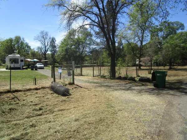 a view of a park with large trees