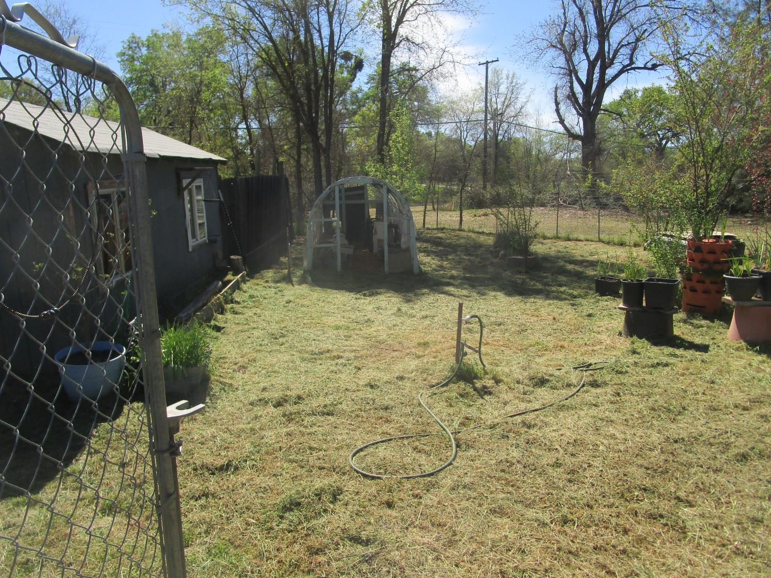 10410 Valley Drive Rough and Ready, CA 95975 - Photo 13 of 31 a backyard of a house