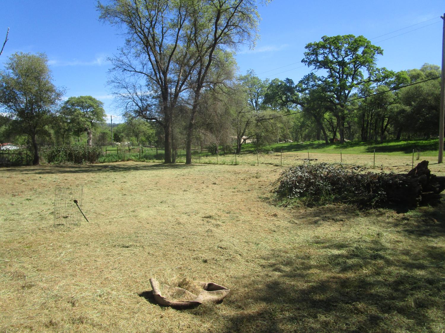 10410 Valley Drive Rough and Ready, CA 95975 - Photo 16 of 31 a view of a yard with a fountain