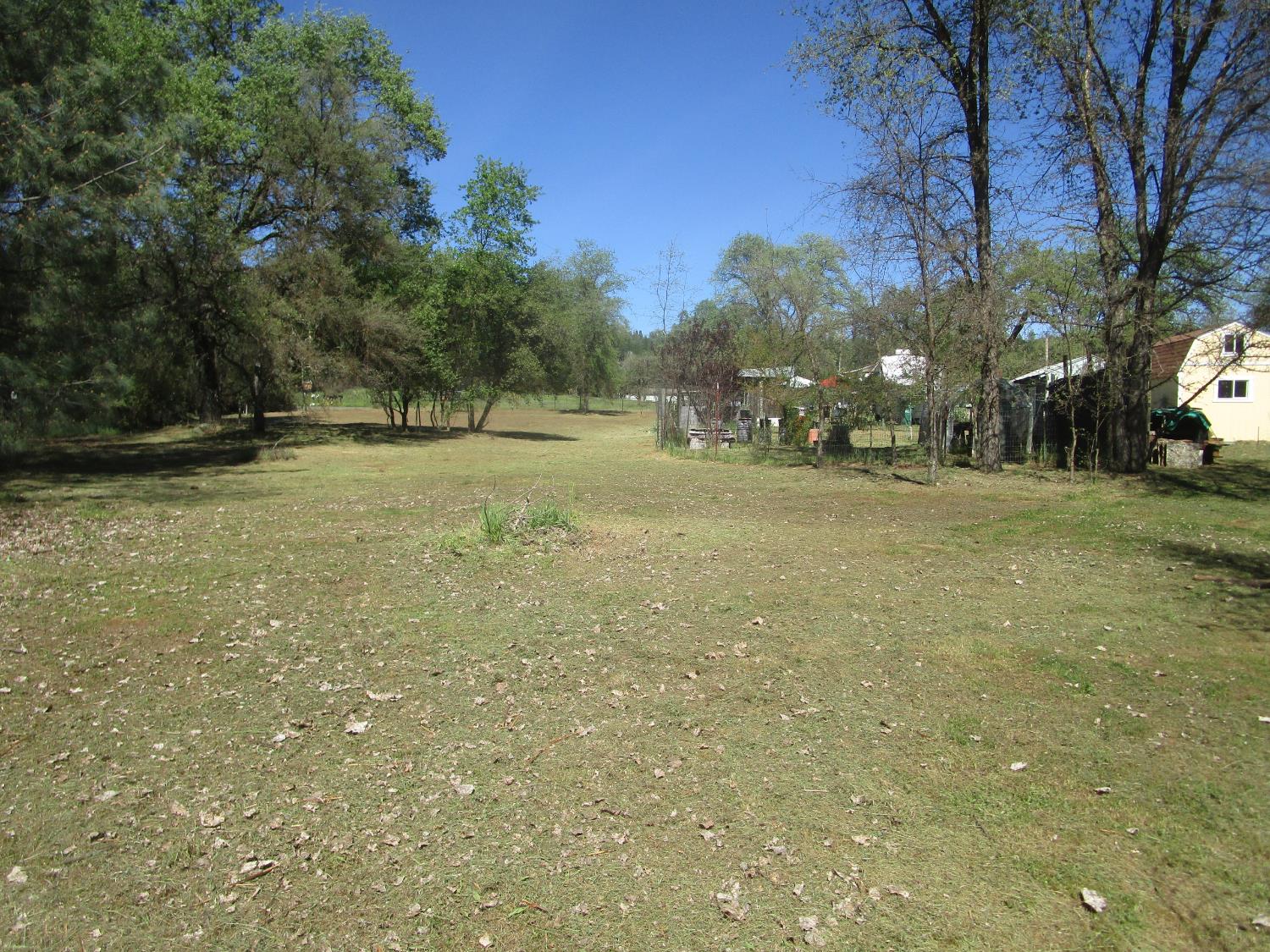 10410 Valley Drive Rough and Ready, CA 95975 - Photo 19 of 31 a view of a yard with trees
