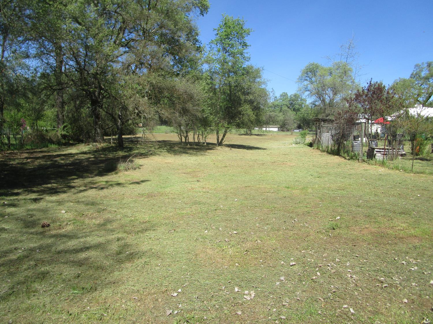 10410 Valley Drive Rough and Ready, CA 95975 - Photo 20 of 31 a view of a yard with trees