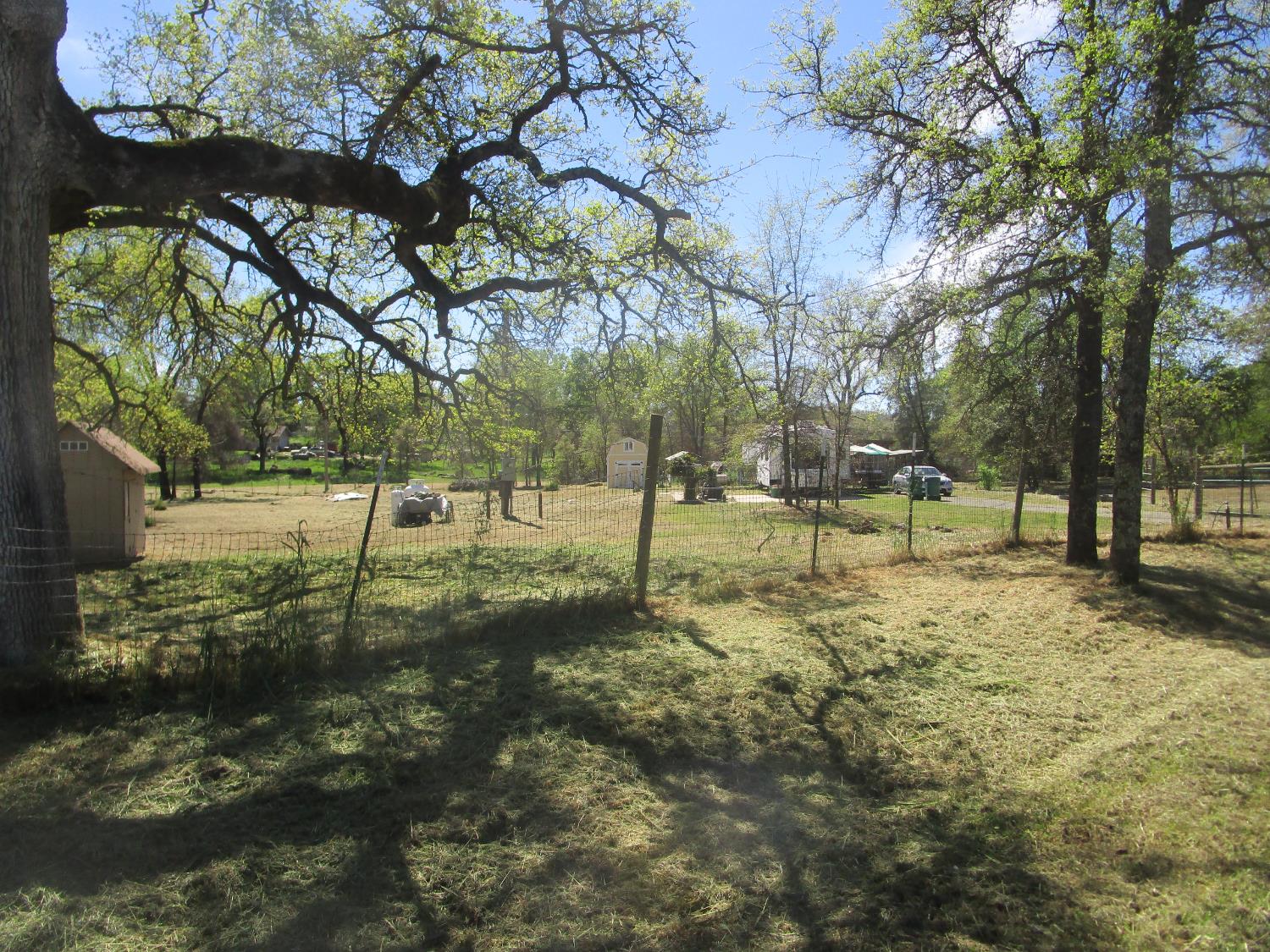 10410 Valley Drive Rough and Ready, CA 95975 - Photo 2 of 31 a view of a park with large trees