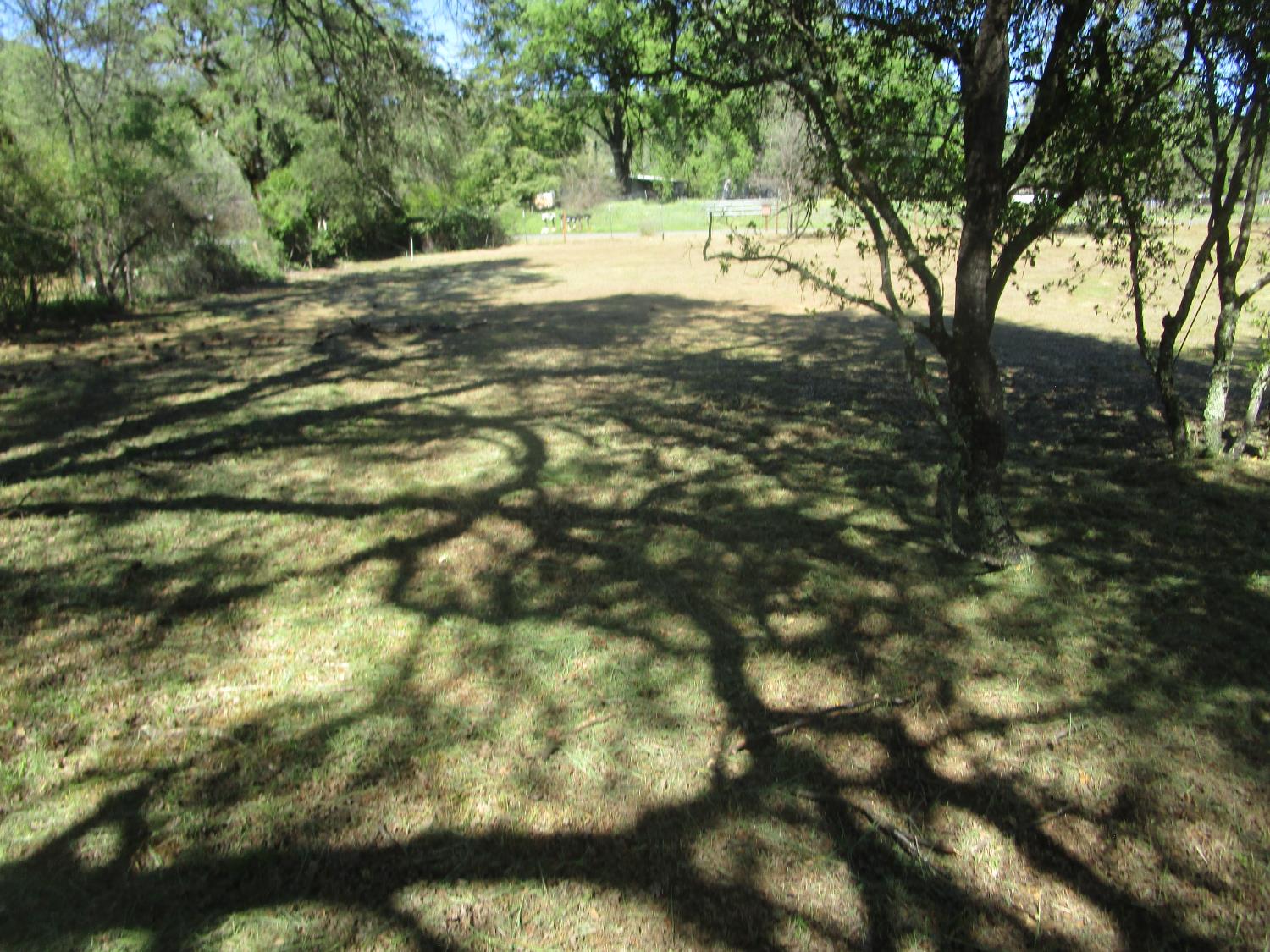 10410 Valley Drive Rough and Ready, CA 95975 - Photo 23 of 31 a view of backyard with green space