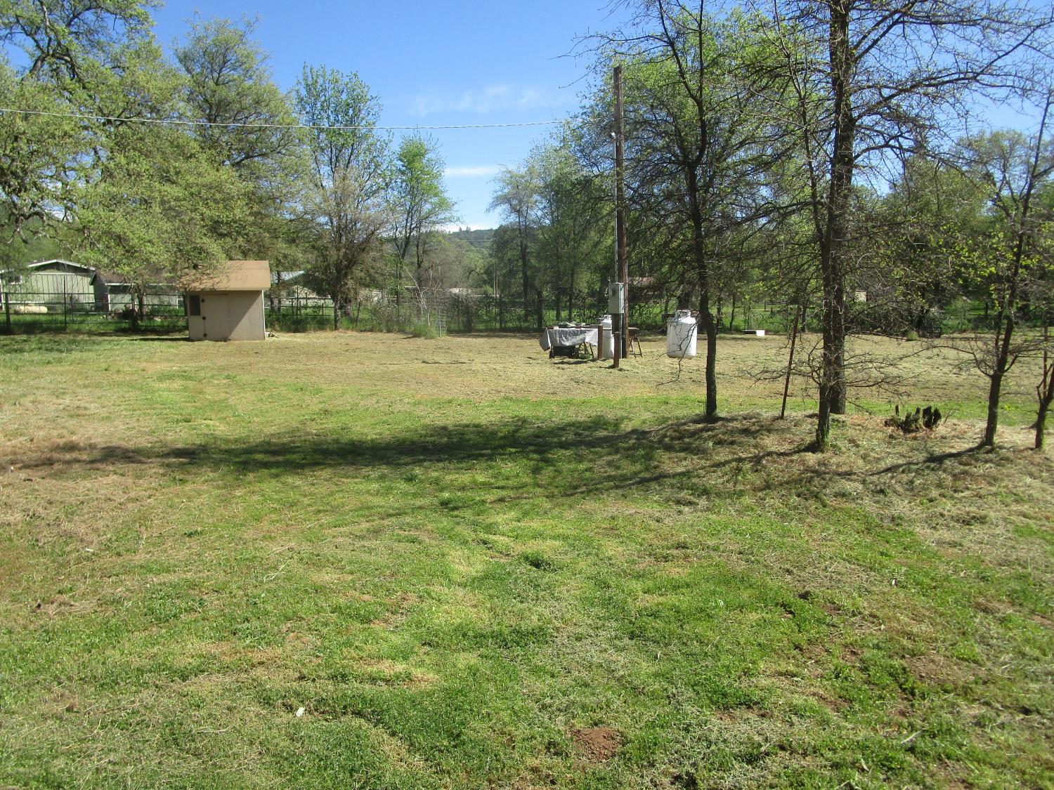 10410 Valley Drive Rough and Ready, CA 95975 - Photo 26 of 31 a view of a yard with a tree