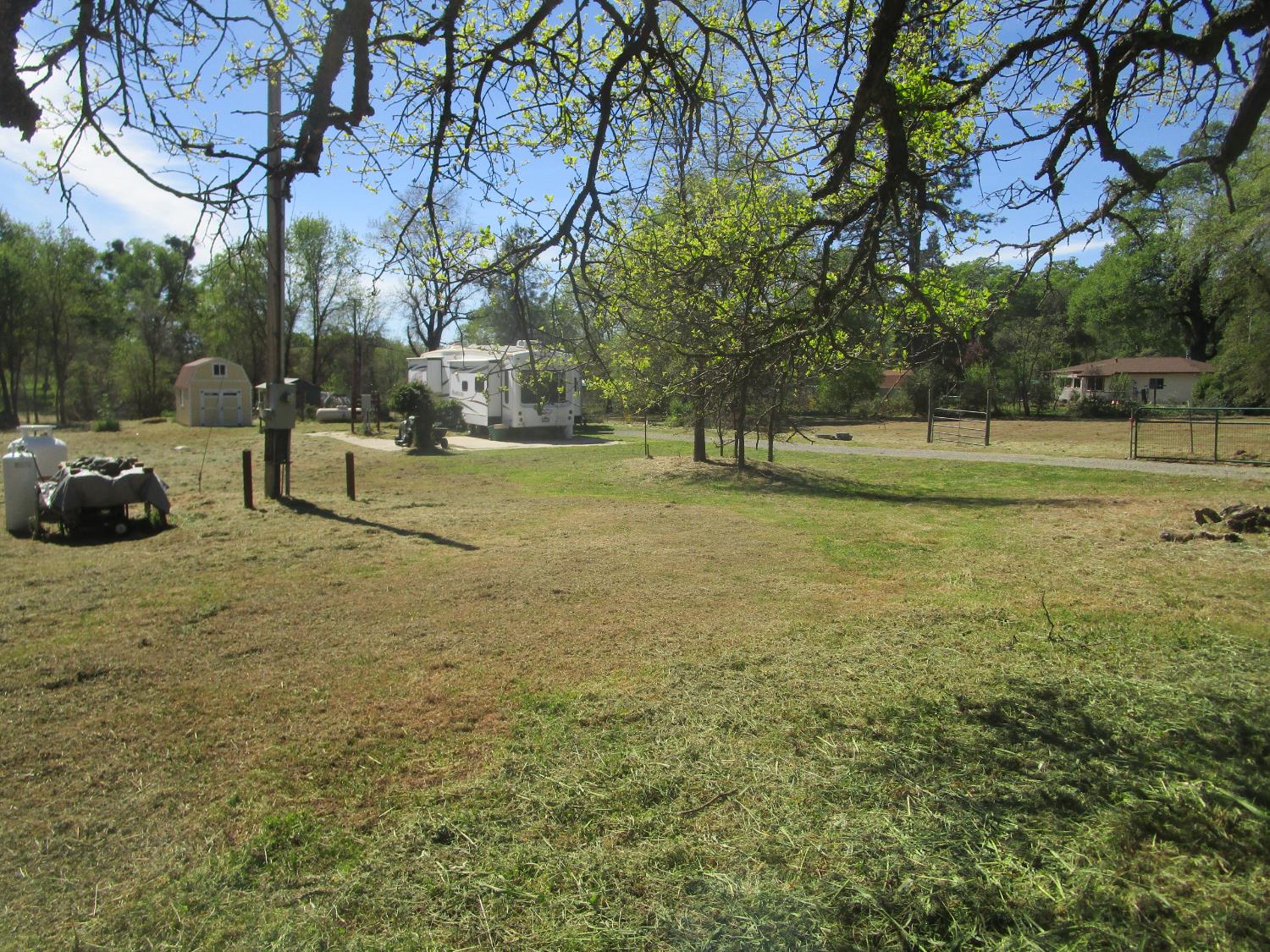 10410 Valley Drive Rough and Ready, CA 95975 - Photo 30 of 31 a view of a yard with large trees