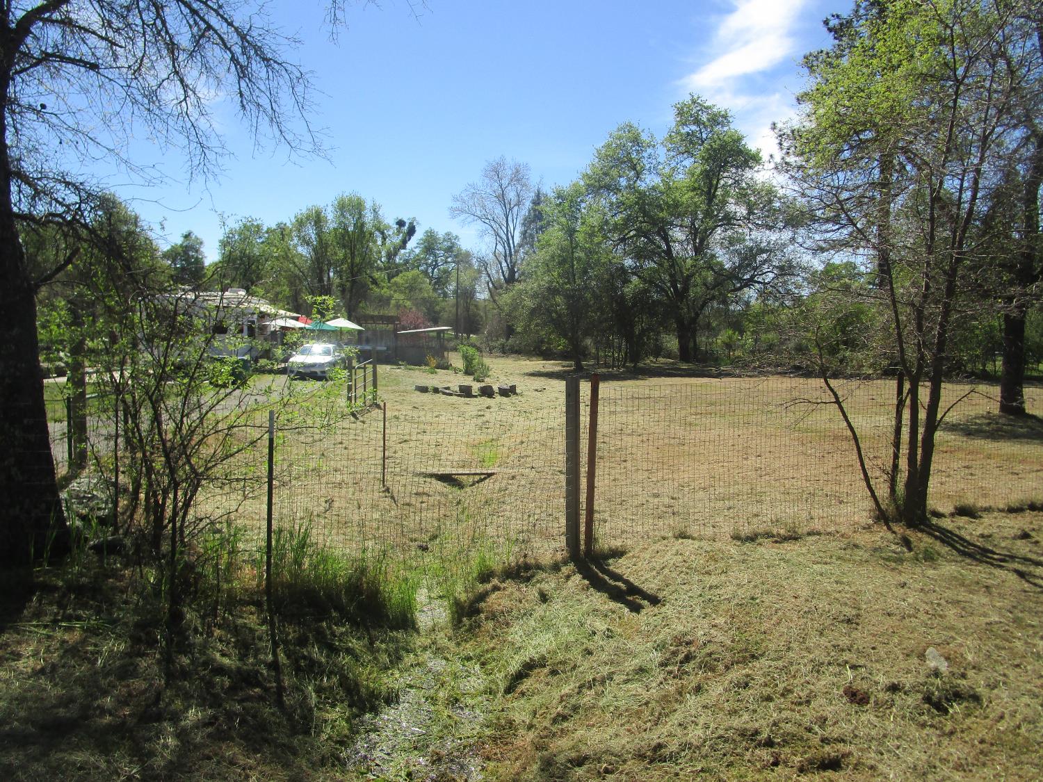10410 Valley Drive Rough and Ready, CA 95975 - Photo 3 of 31 a view of a yard with an trees